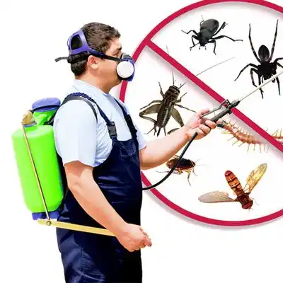 pest control Grand Forks